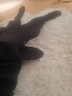 Laras Long Legs in nylons 