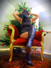 Visit Misstress at Christmas